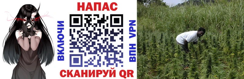 Как найти наркотики Кировск Alpha PVP Кокаин ГАШИШ Каннабис