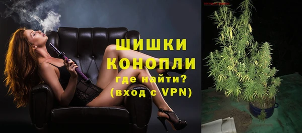 хмурый Бородино
