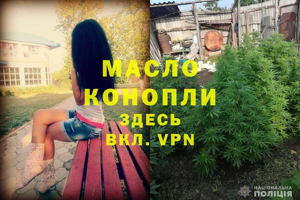 хмурый Бородино