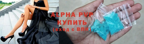 хмурый Бородино