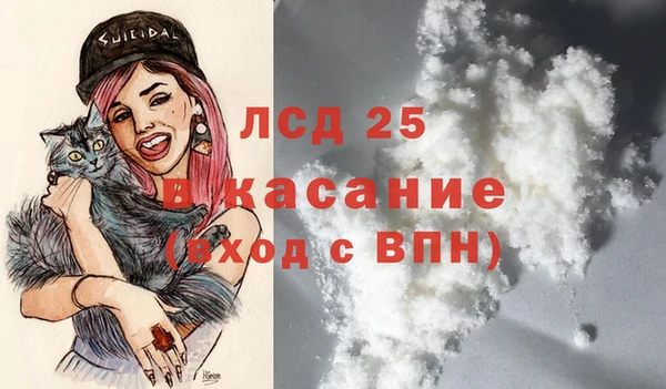 хмурый Бородино