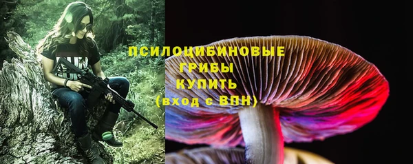 хмурый Бородино