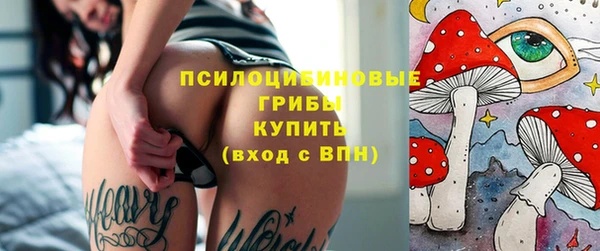 хмурый Бородино