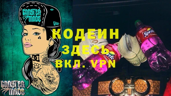 хмурый Бородино