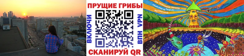 OMG как войти  Кировск  Галлюциногенные грибы ЛСД 