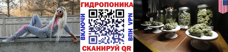 Шишки марихуана AK-47 МЕГА маркетплейс Кировск